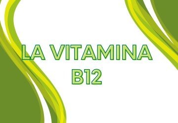 A cosa serve la vitamina b12 e dove trovarla?