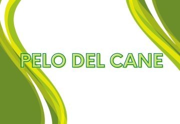 Come Migliorare il Pelo dei Cani?