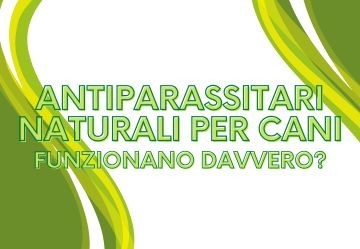 Antiparassitari naturali per animali: funzionano davvero?