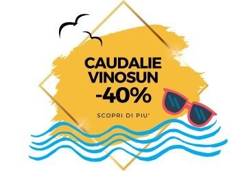 Caudalie Vinosun Solari -40%