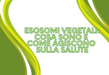 Esosomi Vegetali: cosa sono e come agiscono sulla salute