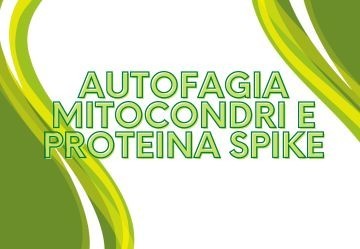 Autofagia, Mitocondri e Proteina Spike: Guida Completa alla Salute Cellulare