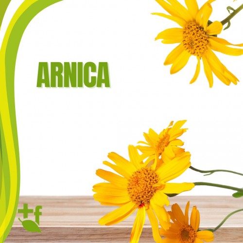 Arnica