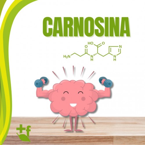 Carnosina