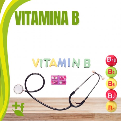 Vitamina B