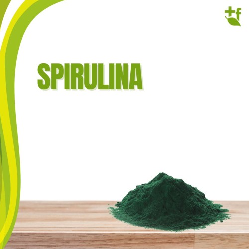 foto Spirulina