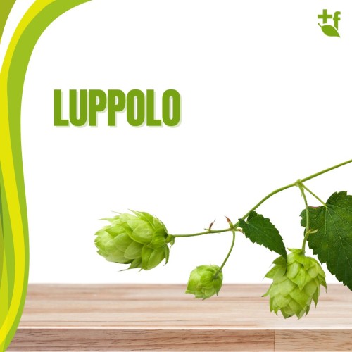 foto Luppolo