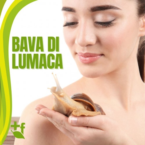 Bava di Lumaca
