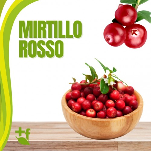 Mirtillo Rosso