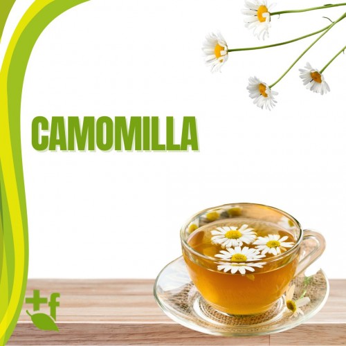 Camomilla