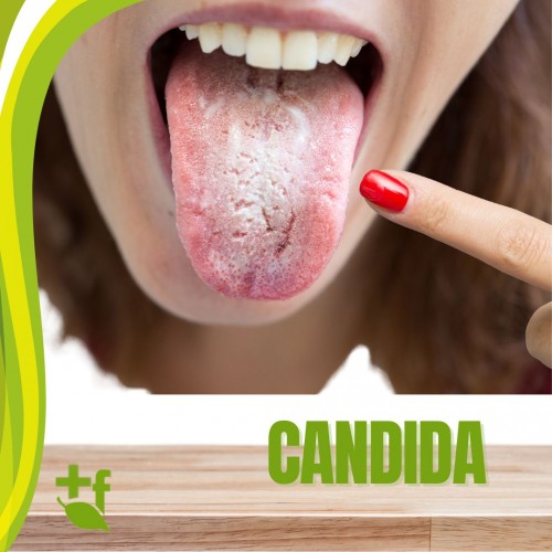foto Candida