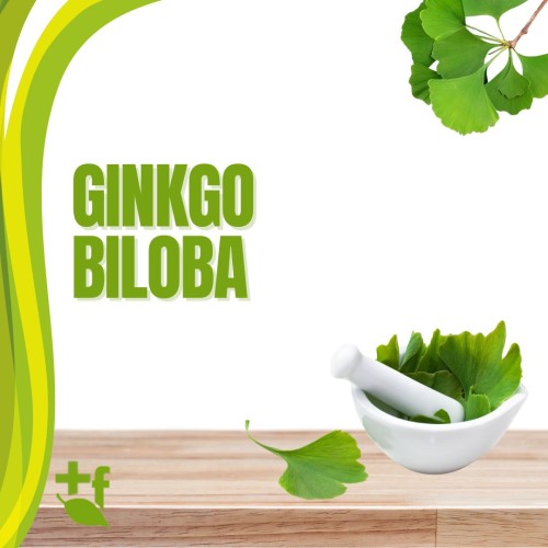 Ginko Biloba