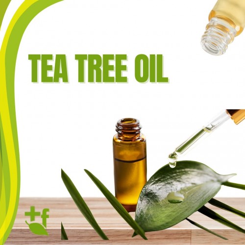 Tea Tree Oil