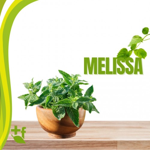Melissa