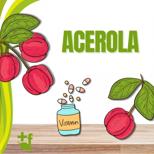 Acerola