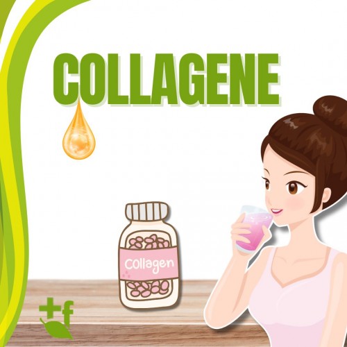 Collagene