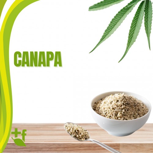 Canapa