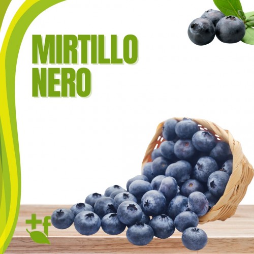 Mirtillo Nero