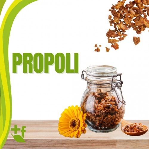 Propoli