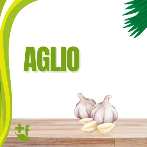 foto Aglio
